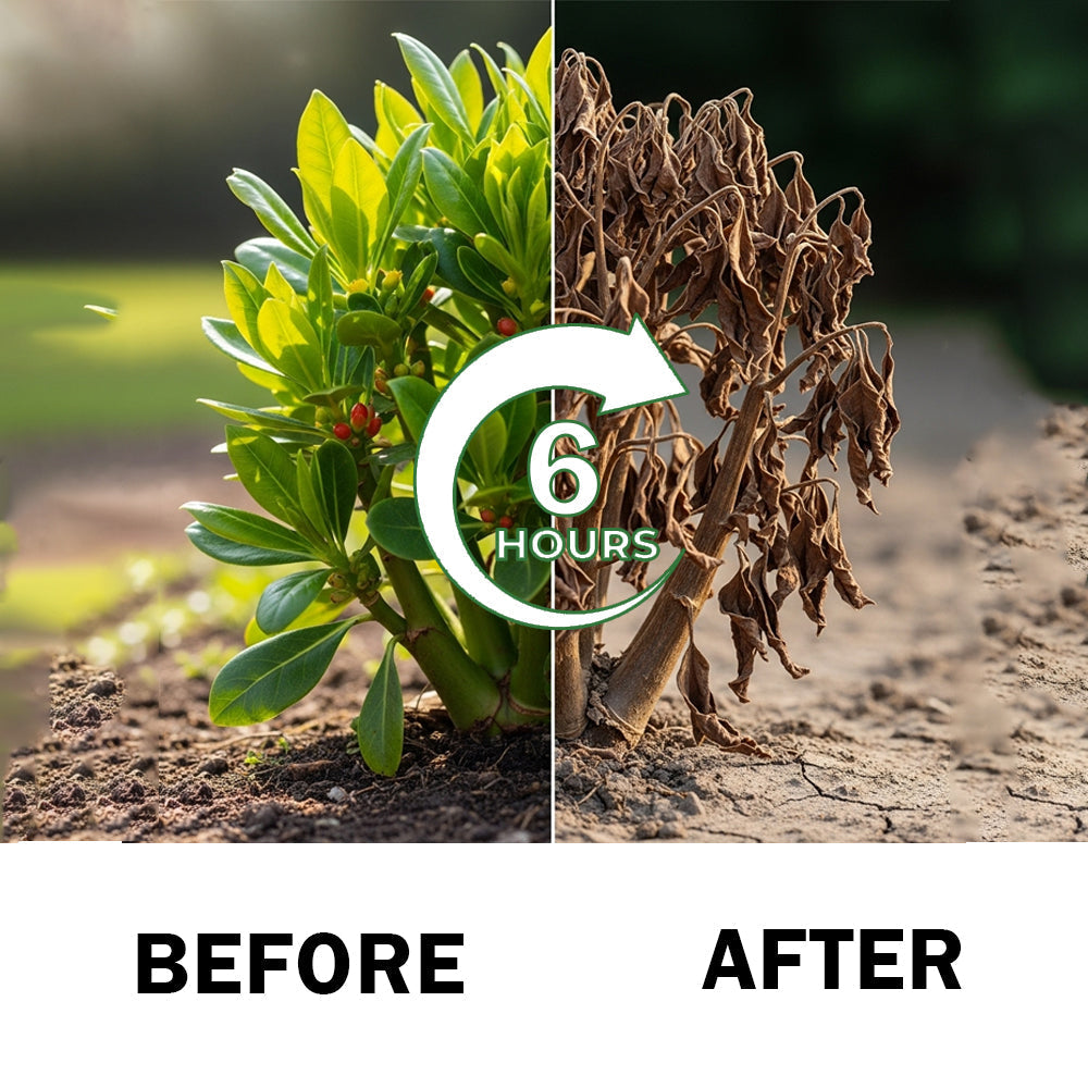 Healrize® 2 in 1 Max Power Herbicide（Kill Tough Weeds & Grass — Down to the Root）